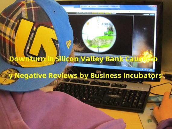 Downturn in Silicon Valley Bank Caused by Negative Reviews by Business Incubators